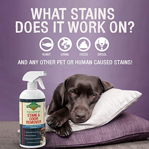 image for Pawstruck Professional Strength Stain & Odor Remover - Natural Enzyme 