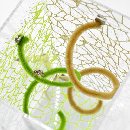 Image of 8PCS Jumping Spider Enclosure Accessories, Jumping Spider Web with Magnets, Jumping Spider Accessories Climbing Toy, Jumping Spider Enclosure Decor (Green and Khaki)