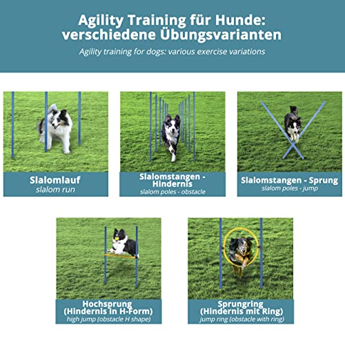 valuents Slalom Stangen mit 2 Hürde + 1 Ring - blau/gelb - Slalomstangen/Hindernis/Sprungring – Agility Set für Hunde – Hundetraining Zubehör – Fußball Traininigsset - Plus: Frisbee