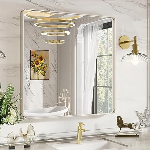 LOAAO 30X30 Inch Brushed Nickel Bathroom Mirror, Rounded Rectangle Silver Metal Frame Mirror, Brushed Nickel, Anti-Rust, Shatter Proof, Hangs Horizontally or Vertically, S7676 Cover