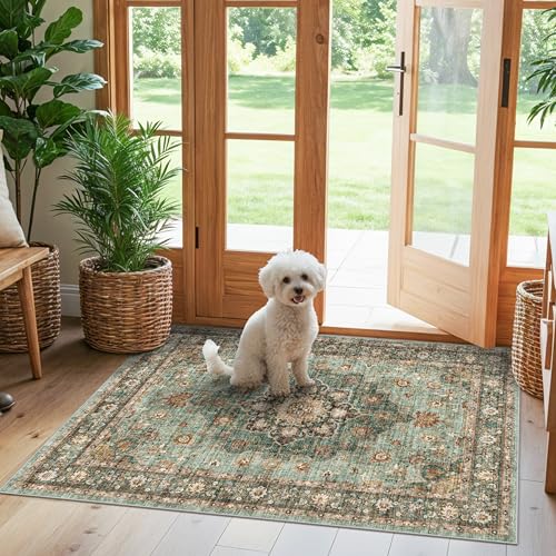 TOPRUUG Green Entryway 3x4 Rug - Washable Area Rugs for Kitchen Bathroom Non-Slip Ultra-Thin Indoor Door Mat Indoor Entrance - Stain Resistant Small Throw Carpet (Green 3X4)