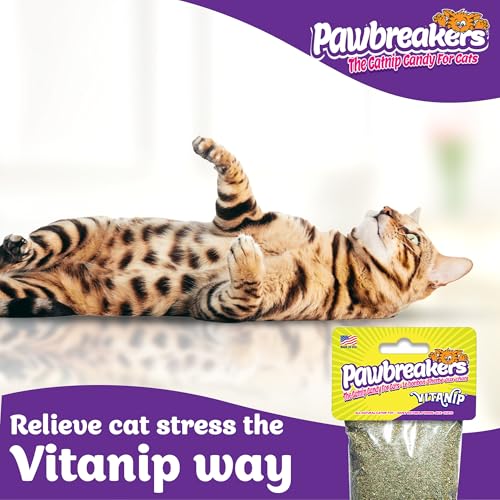 Pawbreakers® Vitanip® Catnip Cat Treats & Toys - Diamond V® Feline Nutritional Supplement – Safe & postbiotic Catnip for Cats | Cat Treats | Made in USA