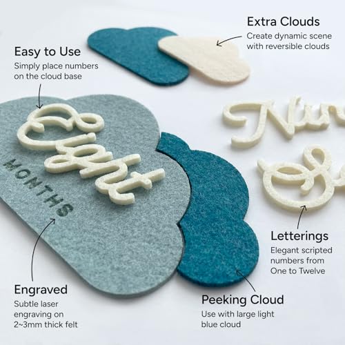 Image of Cloud Baby Monthly Milestone Signs, First Year Photo Prop Cards, Newborn Birth Announcement, Growth Tracking, Gender Neutral Baby Shower, Newborn Baby Gift, Pregnancy Journey and Baby Gift