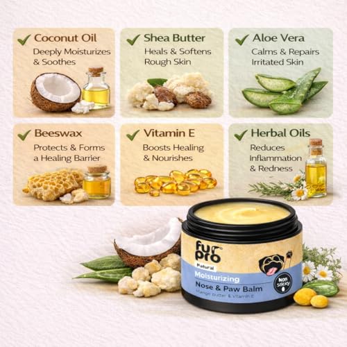 Image of Pet Nose & Paw Balm | Heals, Moisturizes & Softens Dry Paws, Cracked Elbows & Chapped Noses | Enriched with Coconut Oil, Shea Butter, Aloe Vera, Beeswax, Vitamin E & Herbal Oils - 50g
