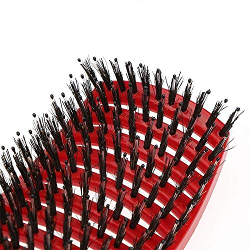 Miniatura 8 de Cepillo de cerdas de nailon desenredante Cepillo de pelo para mujer, cepillo de masaje de cuero cabelludo para mujeres