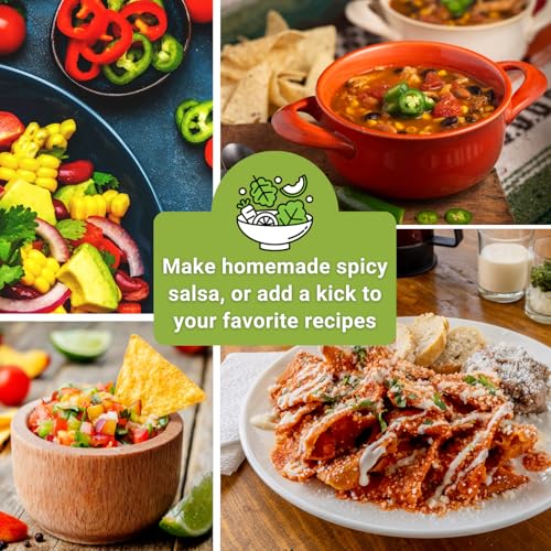Sow Right Seeds - Hot Pepper Seed Collection for Planting - Includes Orange Habanero, Ghost, Thai, Cayenne, Tabasco, Scotch Bonnet - Non-GMO Heirloom Varieties to Plant a Home Vegetable Garden - Image 6