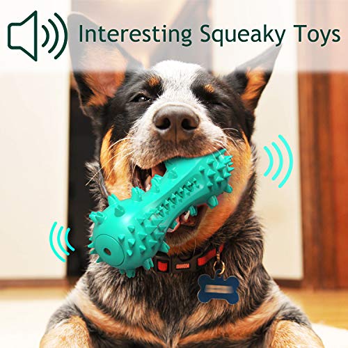 dog teeth cleaning toy