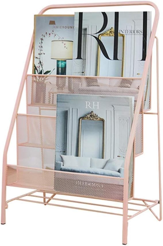 Floor Standing Magazine Rack Holder Organizer, Brochure Magazine Literature Display Holder Rack, Elegant Design Metal Rack for Home