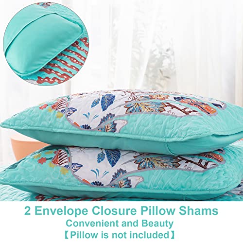 Djy 3 Pieces Quilt Set Queen Coastal Bohemian Quilt Coverlet Set Starfish Aqua Bedspread With 2 Pillow Shams Lightweight Coastal Bedding Quilt Set For All Season 90"X96" #TOP5