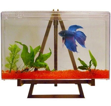 Tom Aquariums-Nature'S Art Betta Fish Tank