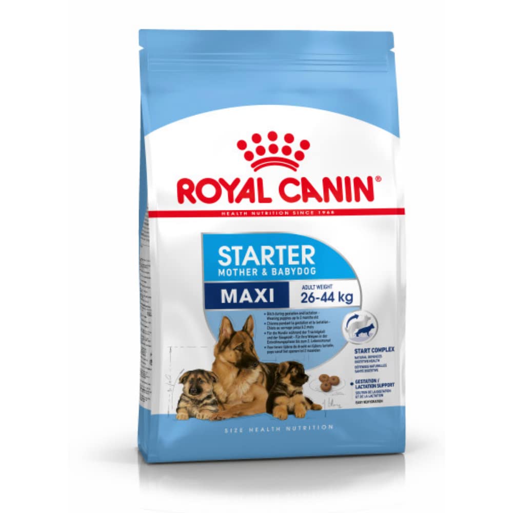 ROYAL CANIN - Maxi Starter Contenances : 4 kg