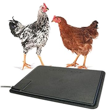 best heat tolerant chickens