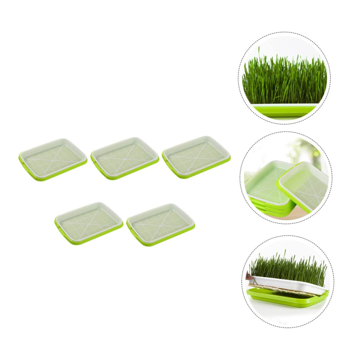 BESPORTBLE 5 Pièces Plateau de Germination Hydroponique Plateaux de Culture Sol Plateau de Germination Pratique
