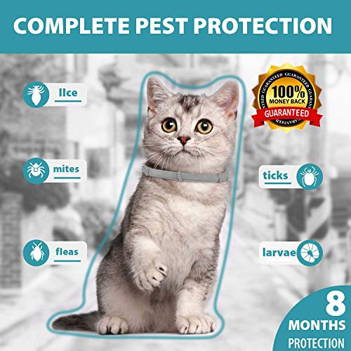 Cat Flea and Tick Collar,8 Month Flea and Tick Treatment and Prevention Cats,Adjustable,Waterproof,100% Natural Ingredients,Include Tick Removal Tools (2 Pack)