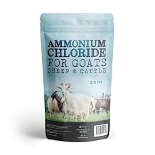 Ecoxall Ammonium Chloride Powder, 99.9% Pure, Wood Burning, Plant Fertilizer, Soldering Flux for Metalworking, Clothing Dye Ingredient, 2.5 lbs