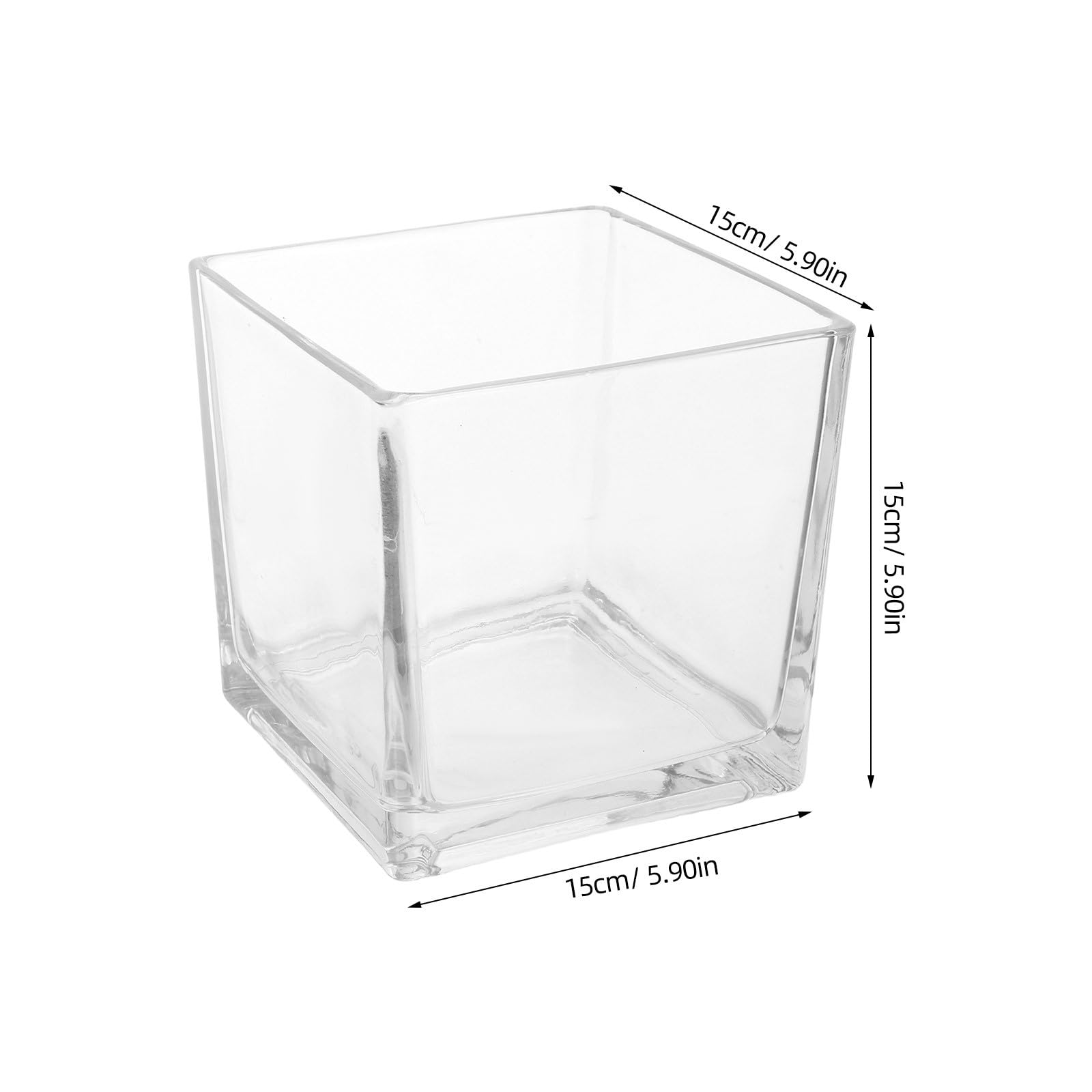 Jarrón de Cristal Cúbico de Vidrio Transparente para Plantas | Contenedor Hidropónico, para Flores, Uso en Cocina y Oficina, Estilo Simple y Chic