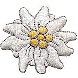 Größe: circa 6,2 cm breit und 5,5 cm hoch