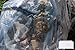 PeakRider 10 Pack Clear Engine Bag Covers – 39