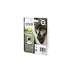 Epson T089 Stylus Ink Cartridge, Yellow, Genuine