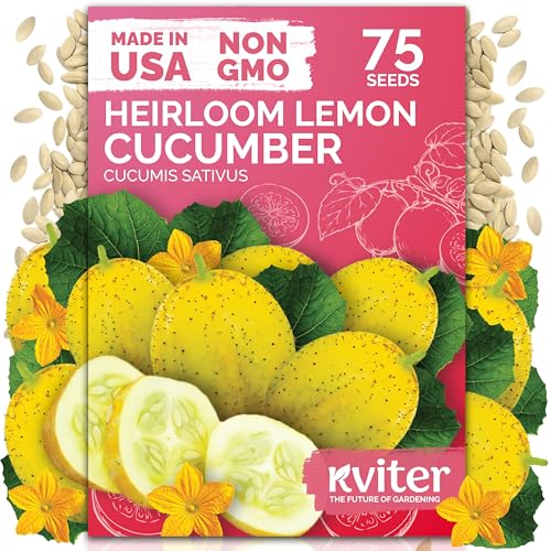 KVITER 75 Lemon Cucumber Seeds (Cucumis Sativus) - Yellow Garden Lemon Seed Packets Mild Flavor Heirloom Seed - Vegetable Seeds for Outdoor Home Garden Raised Beds Ideal for Pickling & Salads