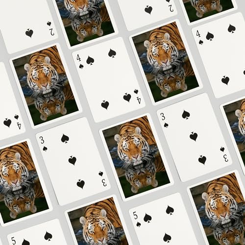 Lantern Press Tiger Reflection, 52 cartas de póker para adultos miniatura 4