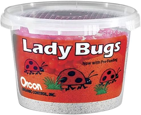 Orcon LB-C1500 Live Ladybugs, Approximately 1,500 Count
