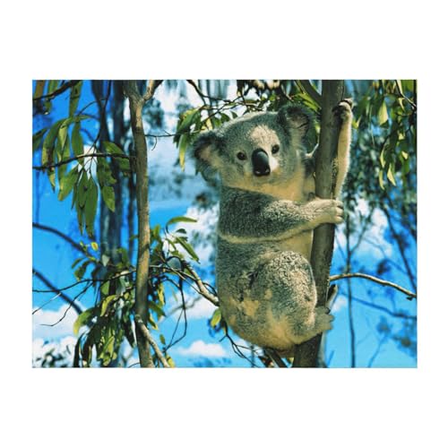 Couverture imprimé koala toutes saisons pour cocooning sur canapé - 2