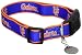 Sporty K9 NCAA Florida Gators Dog Collar, Medium/Large - New Design