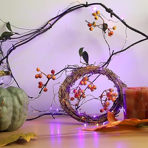 Mengnan Thct Mengnan Halloween Fairy Lights 10Ft 60Leds Fall String Lights Battery Operated With Timer For Thanksgiving Harvest Halloween Christmas Birthday Gift Autumn Indoor Home Decor  thumb #1