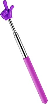 DIVINA VITAE Telescopic Teacher Pointer Extendable Pointer Stick for Classroom Retractable Hand Pointer Finger Pointer Stick Mini Classroom Pointer for Elementary School Kindergarten TeacherPurple