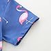 Bibimom Kids Clothing Boys Cotton Fashion Flamingo T-Shirt Shorts Sets 4-5T Birthday