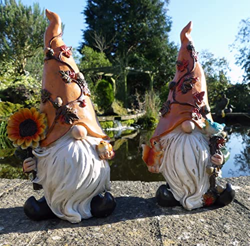 Gnomos de jardín Harvey y Harry, el detalle ideal para amantes de la decoración exterior 2