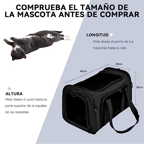 Mejores review On-line Transportadoras para perros soriana - solo los mejores. 23 Imagen adicional