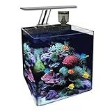 acuario marino Litros: 16 Ocean Free AT560A Nano Acuario Marino, Negro