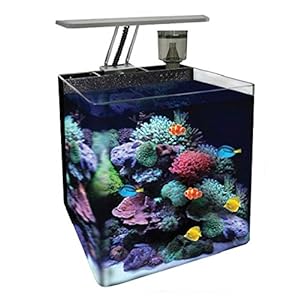 Ocean Free AT560A Nano Acuario Marino, Negro