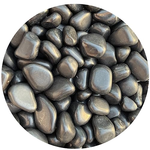 Image of GAF TREASURES 1 /2 LB Black Tourmaline Tumbled Stones, Polished Natural Black Tourmaline Gemstone, Black Tourmaline Healing Crystals (Black Tourmaline)