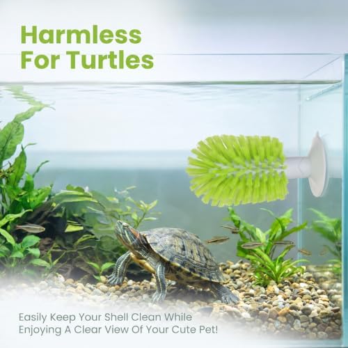 3 PCS Turtle Tank Accessories, Turtle Brush with Suction Cup, Feeding Rings — 사진 6