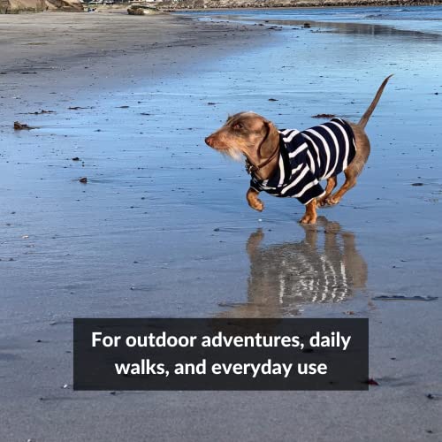 Django Dog Hoodie And Super Soft And Stretchy Sweater With Elastic Waistband And Leash Portal (Small, Navy) #TOP5