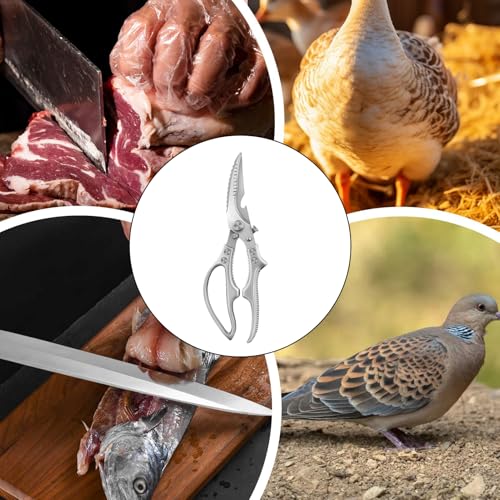 Ciseaux de cuisine multifonctions avec ressort et loquet de sécurité - 5