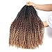Dorsanee Ombre Brown Passion Twist Hair 18 Inch 7 Packs Water Wave Crochet Hair Long Bohemian Curly Braiding Hair for Butterfly Locs, Faux Locs, Boho Style Spring Twist Crochet Braids (1B/30/27#)