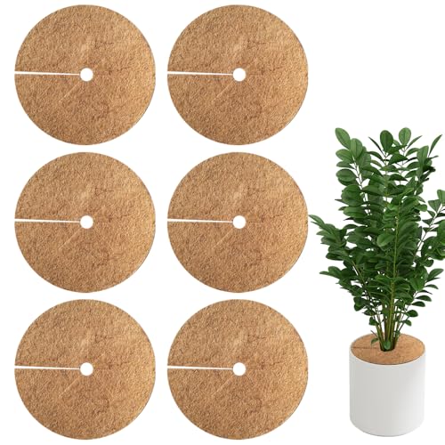 Afenau 6 Pièces Tapis de Coco Plantes, Ø35cm Disque de Protection Plante, Disque de Paillage, Tapis Fibre de Coco pour Plante pour la Protection Hivernale (Epaisseur 0,5-0,8 cm)