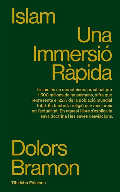 Portada de Islam. Una Inmersió Ràpida