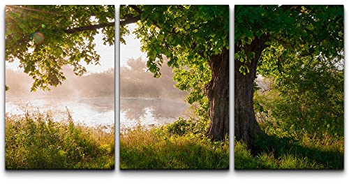 wall26 Canvas Print Wall Art Set Oak Tree Near The