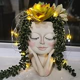 BINFENNY Solar-Face Flower Pot Head Planters - Pots with String Lights Succulent Flower Planter Resi