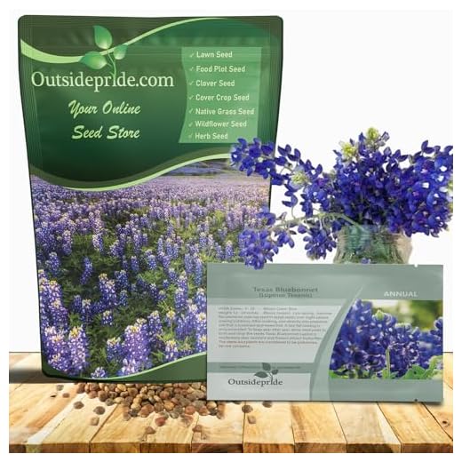 Best garden flowers for texas Texas Bluebonnet Wildflower Seeds
