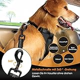 Eyein Hunde Sicherheitsgurt für Auto, Verstellbare Hundegurt fürs Auto mit Elastischer Ruckdämpfung, 3 in 1 reflektierend Hunde Anschnallgurt für alle Hunderassen & Autotypen, 90cm (Schwarz)