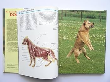 洋書◆犬の写真集 本 Amazon.co.jp: 洋書犬の写真集 本 コンプリートブック : おもちゃ