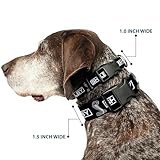 Dog Collar Plastic Clip Shelby Box Logo and Super Snake Cobra Black White 20 to 31 Inches 1.5 Inch Wide - Image 2