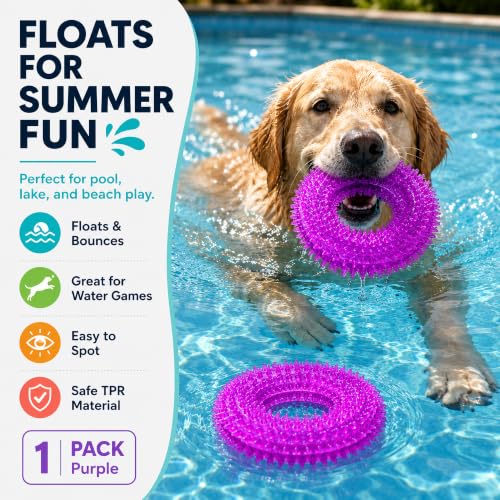 Image of Squeaky Dog Toys for Aggressive Chewers, Floating Donut Ring for Large Dogs