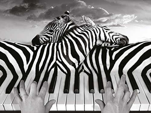 Toile imprimée Thomas Barbey WDC90474 multicolore de 60 x 80 cm pour décoration